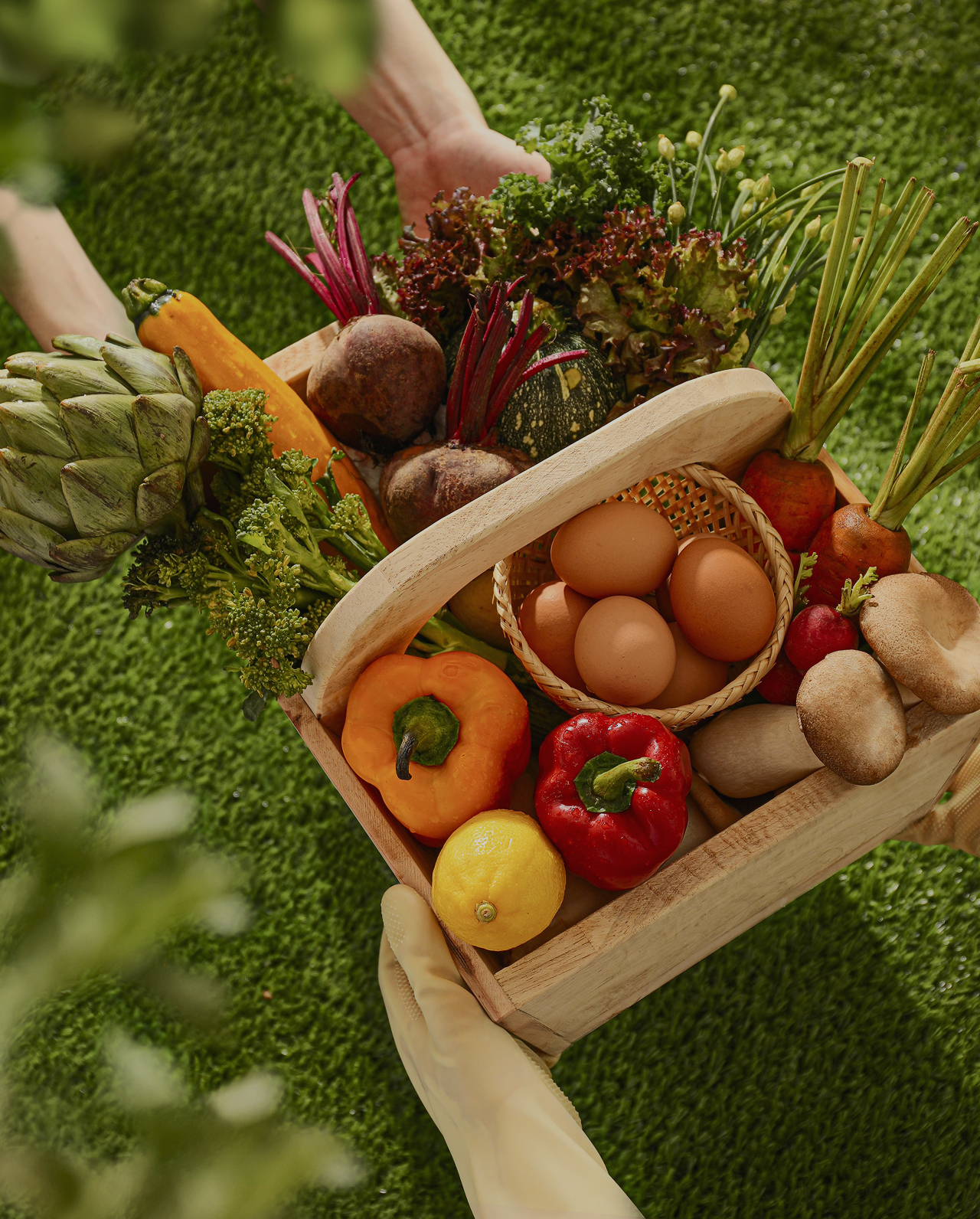 Hands of two people holding a basket of vegetables