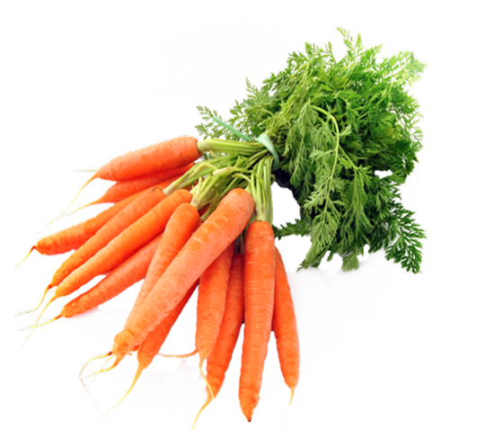 Carrot